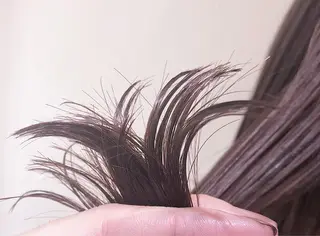 ミディアム カラー パーマ ヘアアレンジ 【ツヤ髪美容師】 ツダケイスケのヘアスタイル