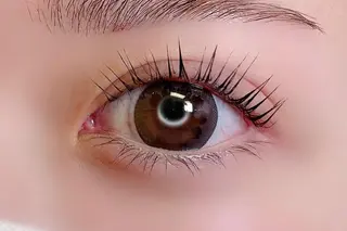 マツエク・マツパ 大阪福島韓国束感まつ げ Sayaka🤍のマツエク・マツパデザイン