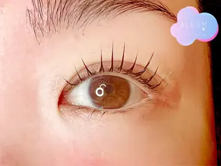 マツエク・マツパ 🌈ALEUM.🌈 アルムのマツエク・マツパデザイン