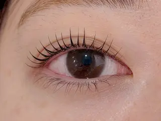 マツエク・マツパ Lil by Fan. 菊池のマツエク・マツパデザイン