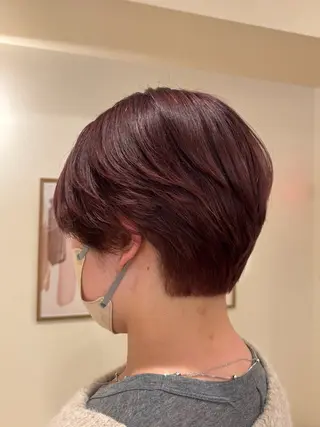 ショート カラー シンバヒナノ/パーマ レイヤーカット/ボブのヘアスタイル