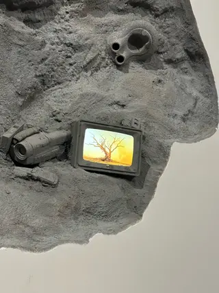 カラー 和田 あおいのヘアスタイル