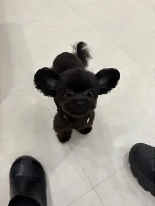 eye salon u-ga所属・eye salon U-ga/中目黒のマツエク・マツパデザイン