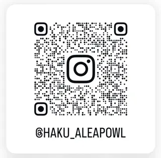 【ALEAP】 𝐇𝐀𝐊𝐔のヘアスタイル