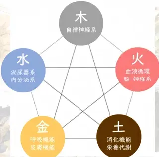 痩身&小顔サロン L i l yA sのエステ・リラクイメージ