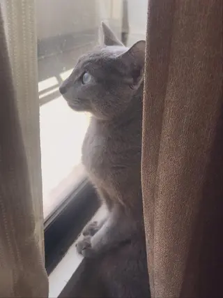 ショート カラー パーマ ヘアアレンジ メンズ キッズ ネイル マツエク・マツパ アニメ,Vオタク× 即効痩せエステサロンのエステ・リラクイメージ