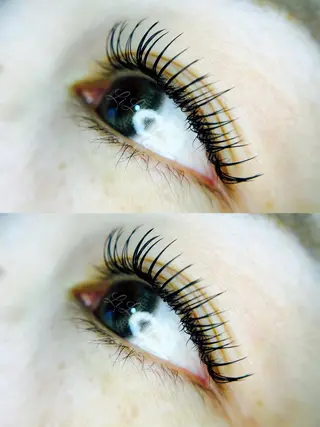 マツエク・マツパ まつげエクステLiLi所属・まつげエクステ LiLiのマツエク・マツパデザイン