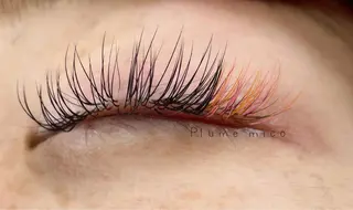 マツエク・マツパ Plume micoのマツエク・マツパデザイン