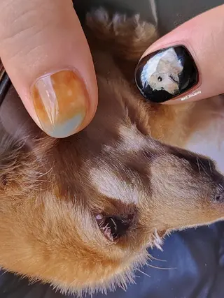 ネイル 3dパーツ/流行り 👧shushu❤️のネイルデザイン