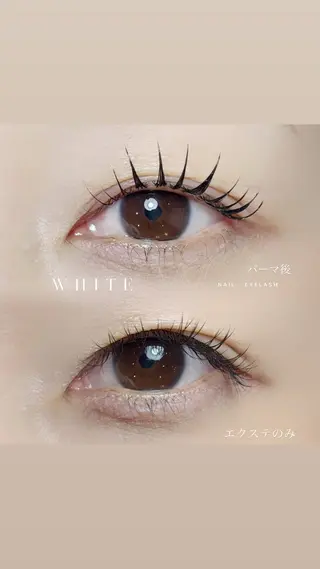 マツエク・マツパ WHITE所属・Luna WHITEのマツエク・マツパデザイン