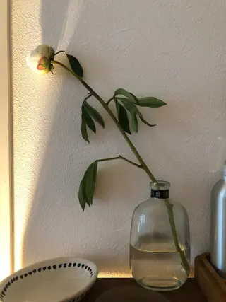 basico  のエステ・リラクイメージ