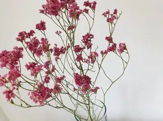 ネイルサロンアリューム所属・ネイルサロン アリュームのネイルデザイン