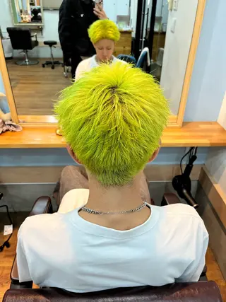 ショート カラー 🫧艶髪デザイナー 🫧白石航汰のヘアスタイル