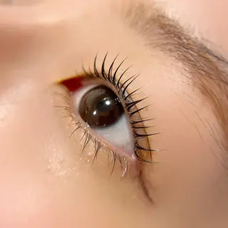 パーマ アイブロウサロン WHITE EYE 岩出 眉毛専門店【ホワイトアイ】所属・WHITE EYE🫧岩出店のマツエク・マツパデザイン