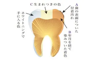M渋谷店所属・M渋谷 ホワイトニングのエステ・リラクイメージ