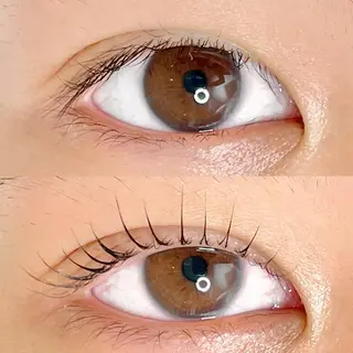 マツエク・マツパ AYLASH🧡 猪又のマツエク・マツパデザイン