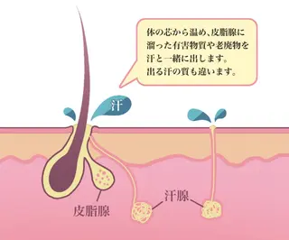 ヨサパーク  ルフ楢原店所属・水素×よもぎ蒸し YOSAPARKルフのエステ・リラクイメージ