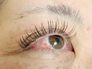 マツエク・マツパ Plume micoのマツエク・マツパデザイン