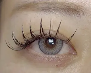 マツエク・マツパ Celeste Venus所属・🧸Celeste Venusのマツエク・マツパデザイン