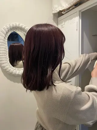 セミロング カラー ウシロダ メグミのヘアスタイル