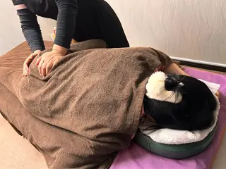 田川 美熙のエステ・リラクイメージ