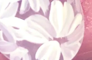 ネイル ネイルサロン翼所属・ネイルサロン 翼【仙川4分】のネイルデザイン