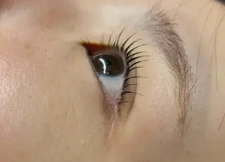 マツエク・マツパ アイブロウ& まつ毛パーマ🫧🪄のマツエク・マツパデザイン