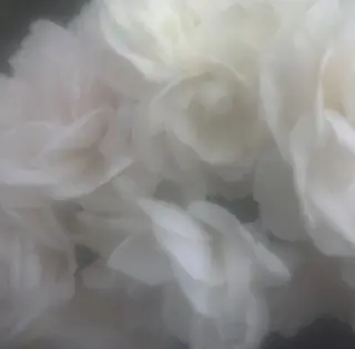 Bianca 長津田 YUKI🍀.⋆のマツエク・マツパデザイン