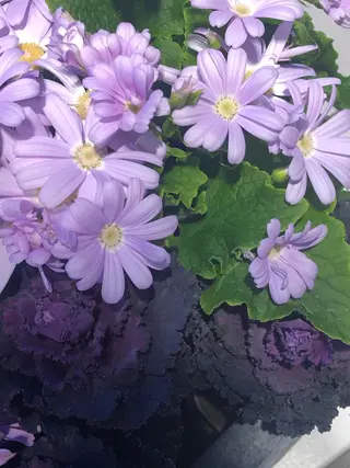 ネイル nailsalon　hue所属・小山 羽奈のネイルデザイン