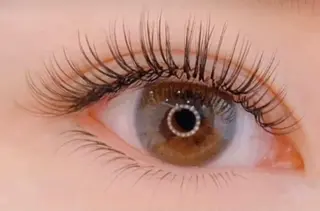 マツエク・マツパ yingsalon 🧚ゆうな🧚‍♂️のマツエク・マツパデザイン