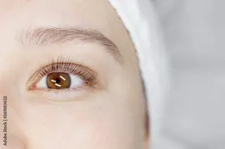 マツエク・マツパ エフプラス所属・エフ プラス F +PULS🌿のマツエク・マツパデザイン