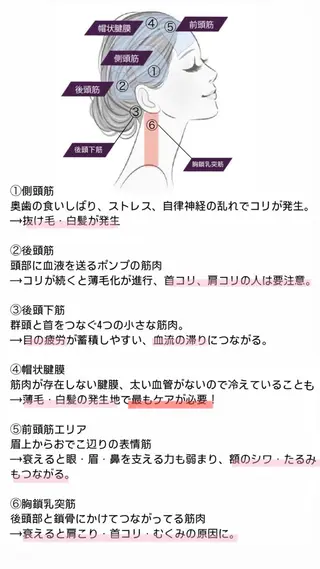 Sloth所属・Sloth 🦥 MARINAのヘアスタイル