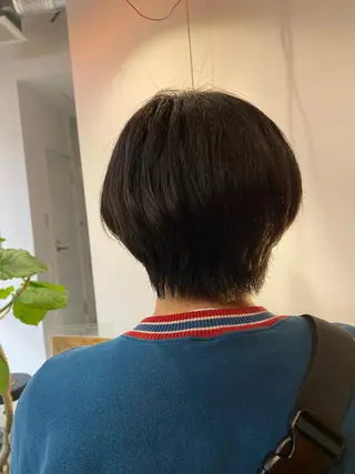 ショート 小日向 沙織のヘアスタイル