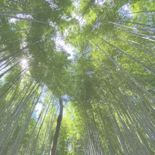 Plaatje所属・Plaatje💐 ゆずはのヘアスタイル