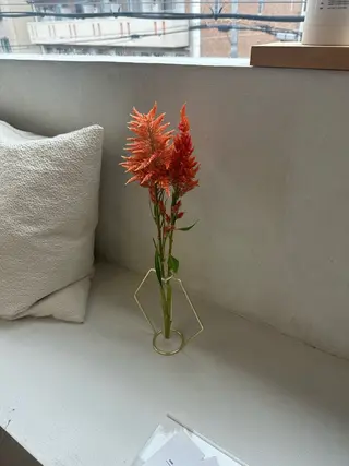 マツエク・マツパ une 石橋阪大前・ 箕面・池田・蛍池のマツエク・マツパデザイン