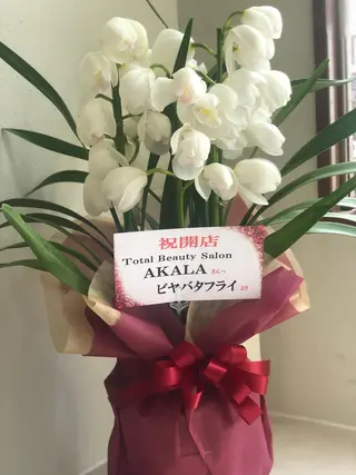 キッズ ネイル マツエク・マツパ AKALA エステ リンパマッサージのエステ・リラクイメージ