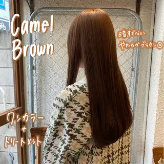 ロング カラー 暖色艶color / ボブ🦩Rioのヘアスタイル