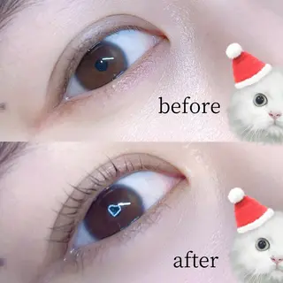 マツエク・マツパ Ange.Ebis所属・ぱっちり🎀eye /恵比寿Ange🪽のマツエク・マツパデザイン