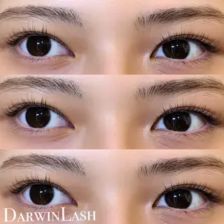 マツエク・マツパ まつげと眉毛のお店Sakura Lash【サクララッシュ】所属・【ダメージケア特化】 🌸 サクララッシュの眉毛・アイブロウイメージ