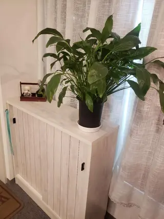 日向 洋子のネイルデザイン