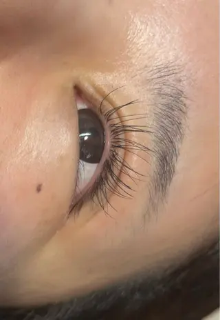 マツエク・マツパ MAQUIA蒲田店 横山のマツエク・マツパデザイン