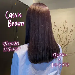 セミロング カラー 暖色艶color / ボブ🦩Rioのヘアスタイル