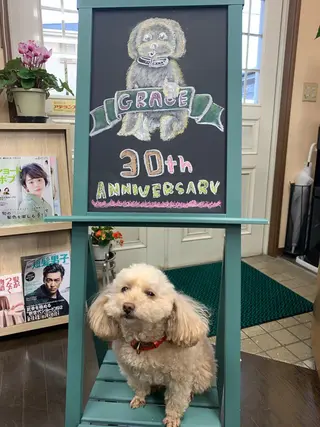 ミディアム カラー メンズ パーマスタジオ グレイス はやとのヘアスタイル