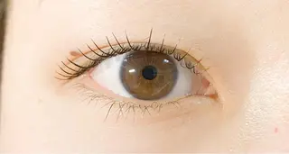 マツエク・マツパ サルサグレイス千葉店 塩井のマツエク・マツパデザイン