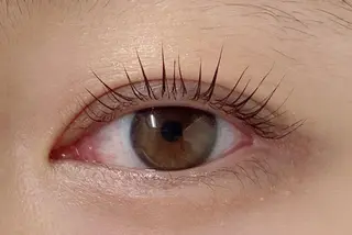 マツエク・マツパ Favori 川上のマツエク・マツパデザイン