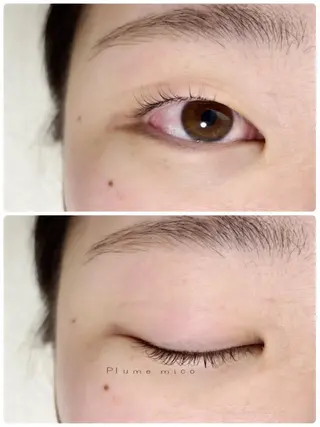 マツエク・マツパ Plume micoのマツエク・マツパデザイン