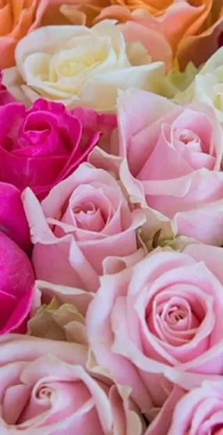 Del’m白根所属・八木原公江 DeI'm白根のエステ・リラクイメージ