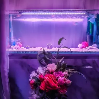 痩身ハーブピーリング 筋膜リリース☆B&Hのエステ・リラクイメージ