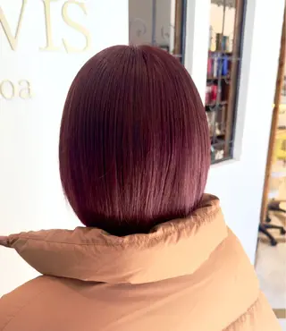 ショート カラー せいと/ウルフ/ ハイトーン/艶髪のヘアスタイル