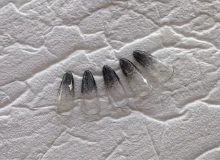 ネイル nailfy's 星のネイルデザイン